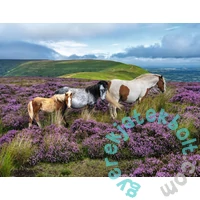 Ravensburger 2000 db-os puzzle  - Vadlovak a mezőn (12001751)