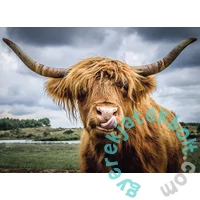 Ravensburger 300 db-os puzzle - Bölény (13273)