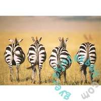 Ravensburger 300 db-os puzzle - Zebra (13312)