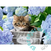 Ravensburger 300 db-os XXL puzzle - Kicsi cicák (12894)