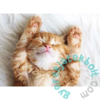 Ravensburger 500 db-os puzzle  - Cica pihi (12001905)