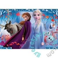 Ravensburger 2 x 12 db-os puzzle - Jégvarázs 2 (05009)