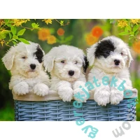 Ravensburger 200 db-os XXL puzzle - Aranyos kiskutyák (12765)