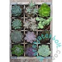 Ravensburger 300 db-os puzzle - Zöld (12967)