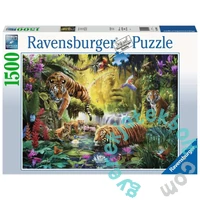 Ravensburger 1500 db-os puzzle - Békés tigrisek (16005)
