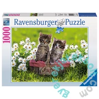 Ravensburger 1000 db-os puzzle - Piknik a réten (19480)
