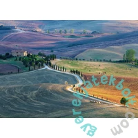 Ravensburger 1000 db-os puzzle - Talent Collection - Siena, Toscana (16779)