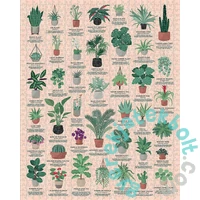 Ridley's Games 1000 db-os puzzle - House Plants (40626)