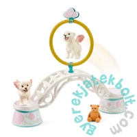 Schleich 42524 Agility tréning szárnyas oroszlánkölyköknek játékszett - bayala