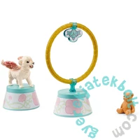 Schleich 42524 Agility tréning szárnyas oroszlánkölyköknek játékszett - bayala