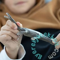 Schleich 15031 Nothosaurus figura - Dinoszauruszok