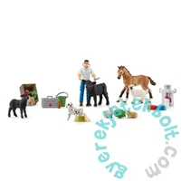 Schleich 98643 Adventi kalendárium - Farm World