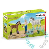 Schleich 42486 Állatorvos látogatása kancánál és csikójánál játékszett - Farm World