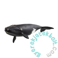 Schleich 14878 Észak-atlanti bálna figura - Wild Life