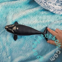 Schleich 14878 Észak-atlanti bálna figura - Wild Life