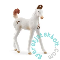 Schleich 14896 Marwari csikó figura - Horse Club