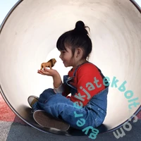 Schleich 14726S Üvöltő oroszlán figura - Wild Life (SLH14726S)