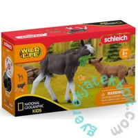 Schleich 42603 Jávorszarvas borjúval figurák - Wild Life (SLH42603)