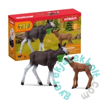 Schleich 42629 Jávorszarvas borjúval figura - Wild Life (SLH42629)