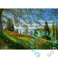 Schmidt 1000 db-os puzzle - Tulips flowering - Mainau Island (58967)