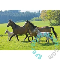 Schmidt 2x26+2x48 db-os puzzle fém bőröndben - Pferde Puzzle-Box (55588)