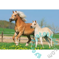 Schmidt 2x26+2x48 db-os puzzle fém bőröndben - Pferde Puzzle-Box (55588)