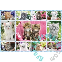 Schmidt 100 db-os puzzle - Kittens (56135)