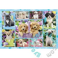Schmidt 200 db-os puzzle - Puppies (56162)