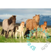 Schmidt 200 db-os puzzle - Family of Horses (56199)