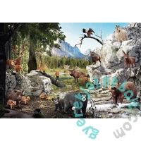 Schmidt 40 db-os puzzle - The Forest Animals (56239)