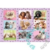 Schmidt 100 db-os puzzle - My Animal Friends (56268)