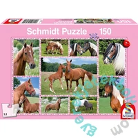 Schmidt 150 db-os puzzle - Dream Horses (56269)