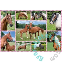Schmidt 150 db-os puzzle - Dream Horses (56269)
