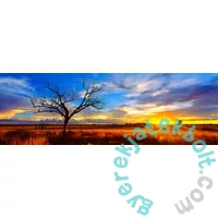 Schmidt 1000 db-os Panoráma puzzle - Desert Oak at Sunset, Australia, Mark Gray (59865)