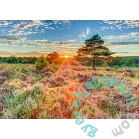 Schmidt 1000 db-os puzzle - Sunset on the heath (59768)