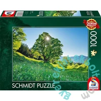 Schmidt 1000 db-os puzzle - Sycamore Maple in the Sunlight, St. Gallen, Switzerland (59761)