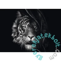 Schmidt 1000 db-os puzzle - Tiger, Ashley Rader (58541)