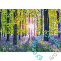 Schmidt 1000 db-os puzzle - Transquil bluebell woods (59767)