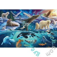 Schmidt 150 db-os puzzle - Arctic animals (56484)