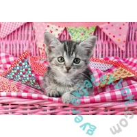 Schmidt 3 x 48 db-os puzzle - My cutest baby animals (56361)