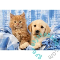 Schmidt 3 x 48 db-os puzzle - My cutest baby animals (56361)