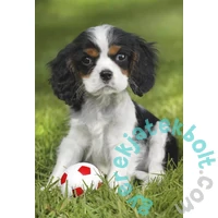 Schmidt 3 x 48 db-os puzzle - My cutest baby animals (56361)