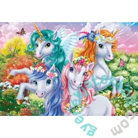 Schmidt 100 db puzzle - Unicorn snapshot (56583)