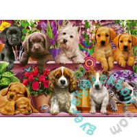 Schmidt 500 db-os puzzle - Dogs on a Shelf (58973)