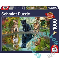 Schmidt 1000 db-os puzzle - Dream big (57392)