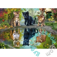 Schmidt 1000 db-os puzzle - Dream big (57392)