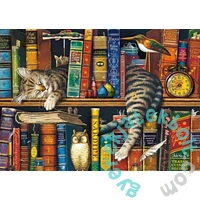 Schmidt 1000 db-os puzzle - Frederick the literate - Charles Wysocki (59991)