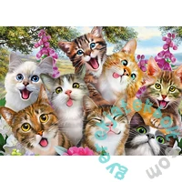 Schmidt 500 db-os puzzle - Cat Selfie (58391)