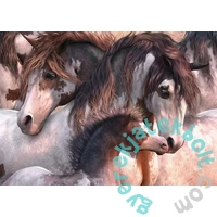 Schmidt 1000 db-os puzzle - Pinto-hearth (57389)