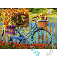 Schmidt 500 db-os puzzle - Sunday outing with good friends